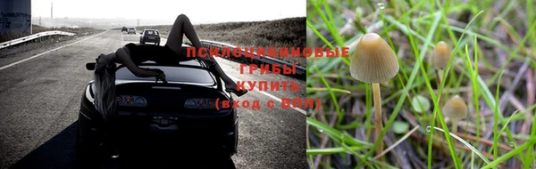 эйфоретик Алексин