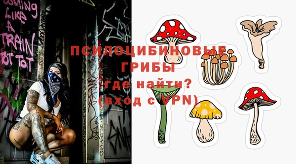 эйфоретик Алексин