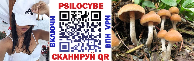 OMG вход  Вихоревка  площадка какой сайт  Галлюциногенные грибы Cubensis 